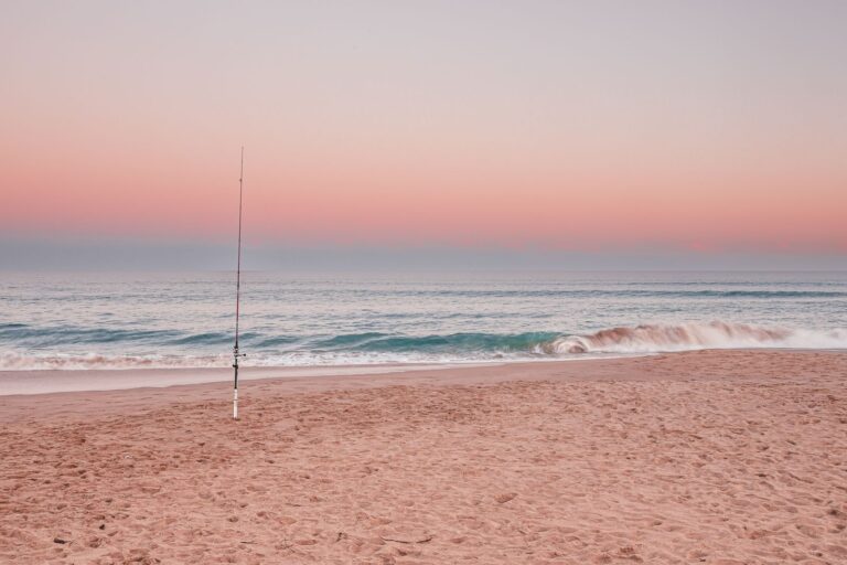 Peaceful sunset view of a fishing rod on Seaspray beach with gentle waves and pastel sky.