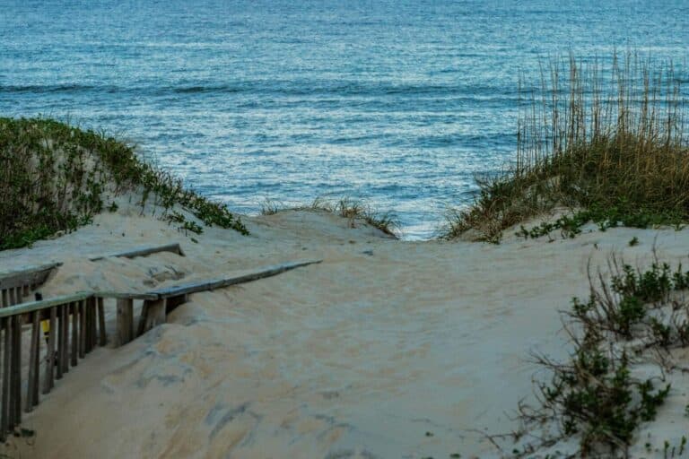 Beautiful sand dunes and ocean view at Nags Head Beach, North Carolina.