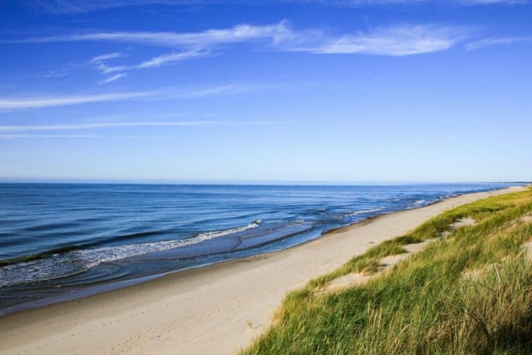 Peaceful coastal scene featuring a sandy beach, gentle waves, and a clear blue sky.