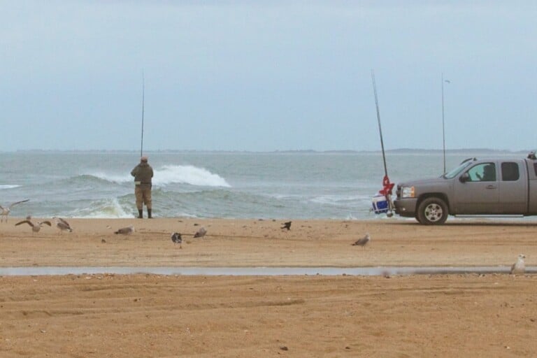 A surf angler working the breakers at Cape Point with a truck and rod holders on the beach behind
