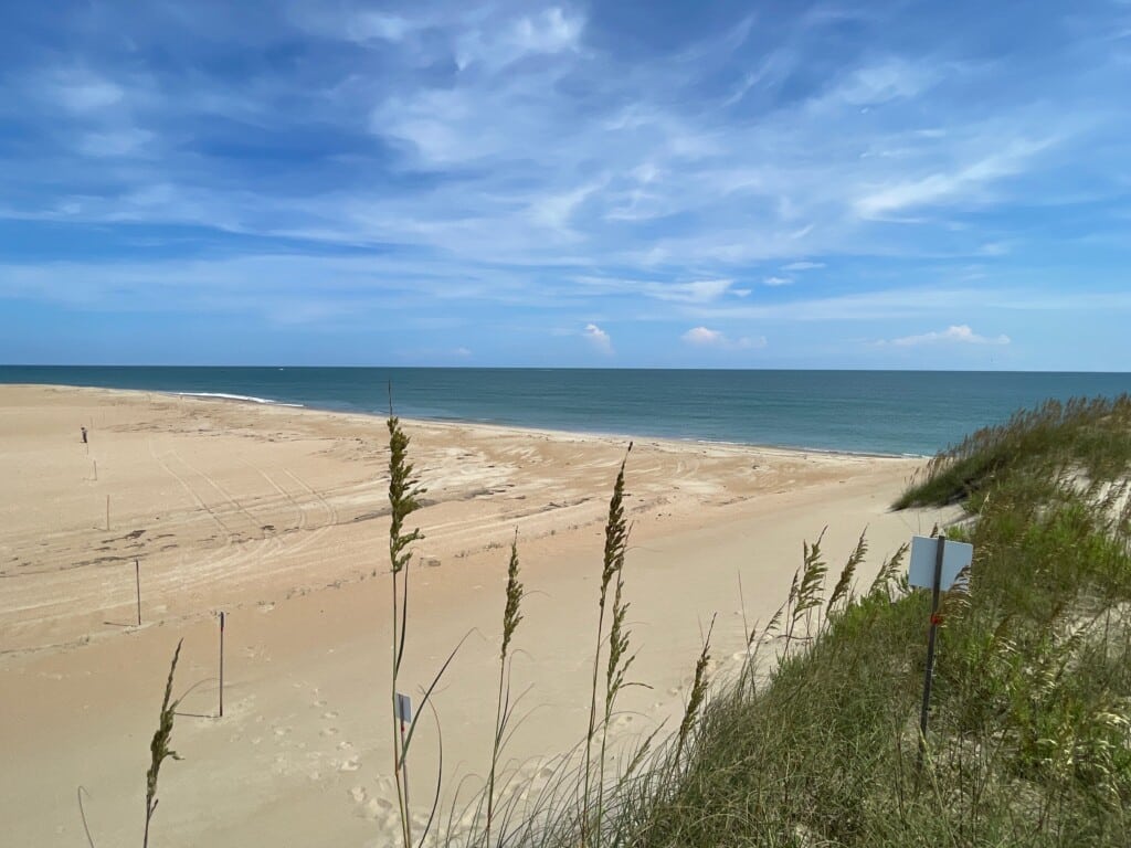 Sea oats and dunes above the south-facing beach in the Cape Point area of Cape Hatteras National Seashore