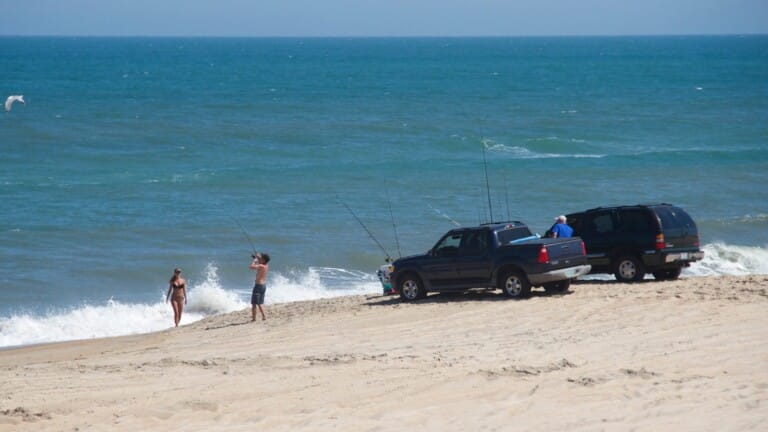 Beach vehicles, surf rods and swimmers along the shoreline on a clear day in the Outer Banks