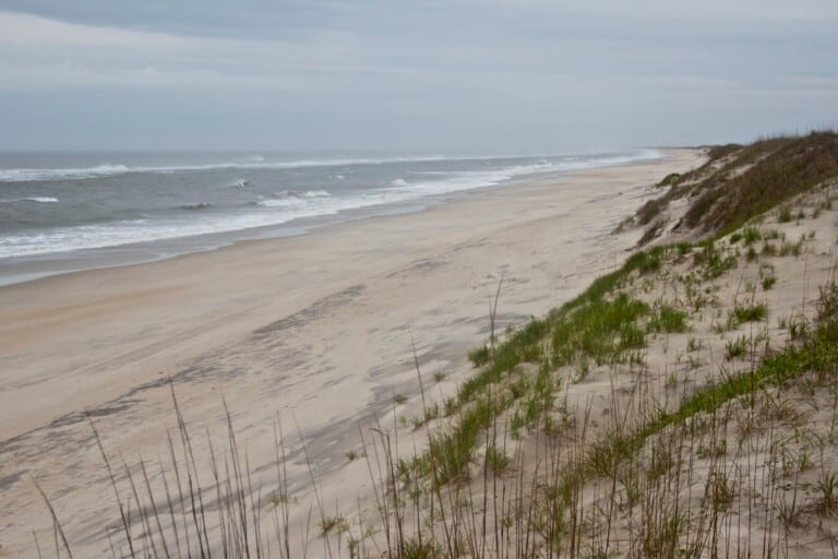 Sea oats on a low dune above an empty stretch of Atlantic beach at Ramp 25 in Salvo