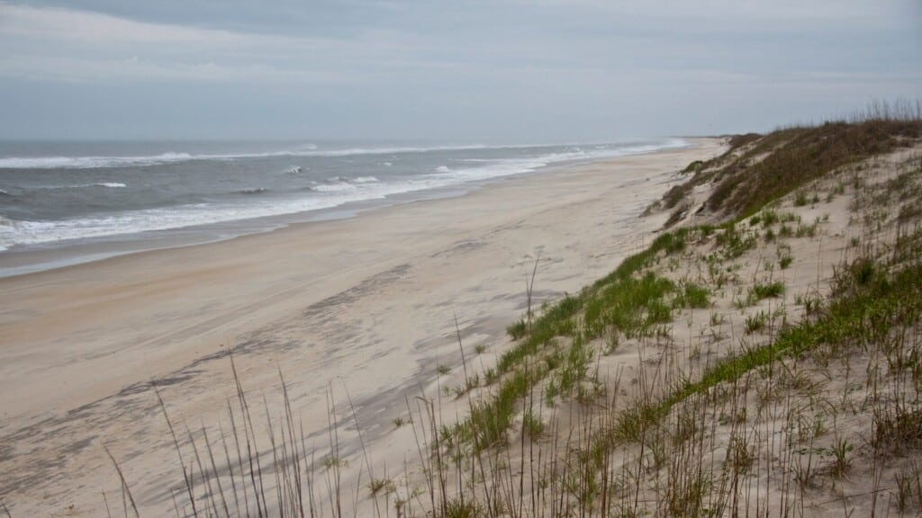 Empty sand beach and grassy dune line along the Atlantic shore at Cape Hatteras National Seashore
