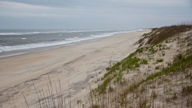 Empty sand beach and grassy dune line along the Atlantic shore at Cape Hatteras National Seashore