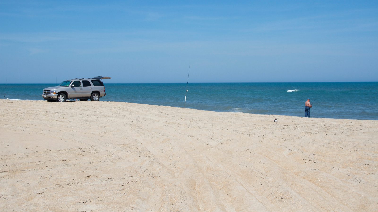 A surf angler fishing beside a beach vehicle on the shoreline at Cape Hatteras National Seashore