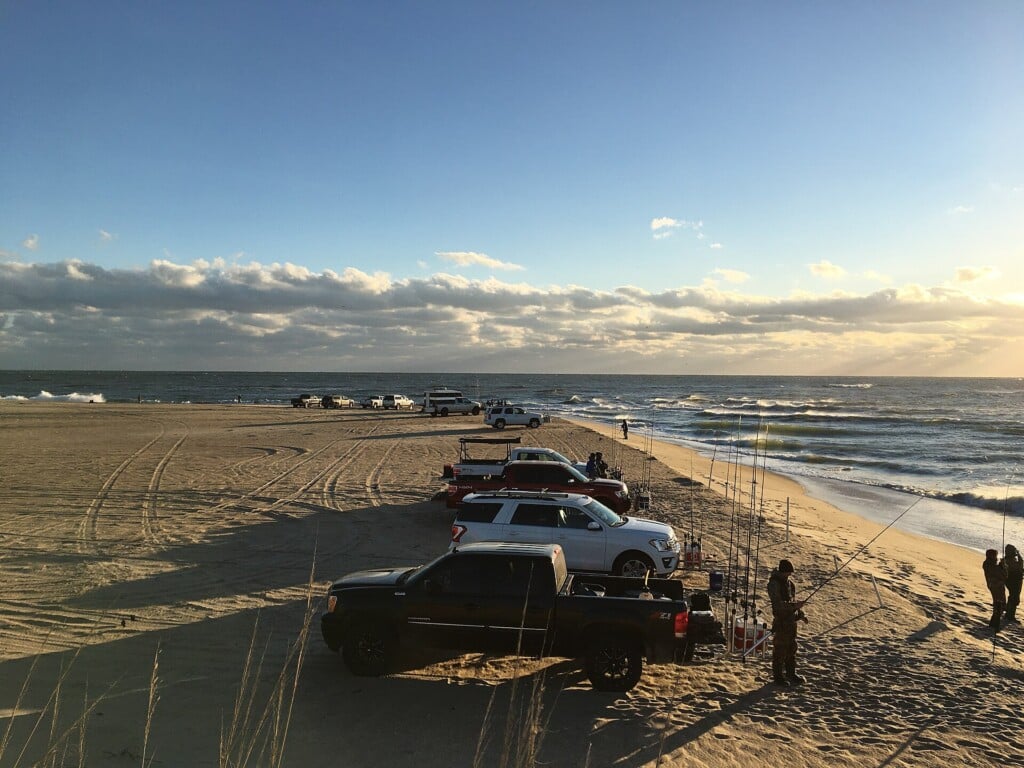 Trucks and surf rods lined up at Cape Point on a November morning