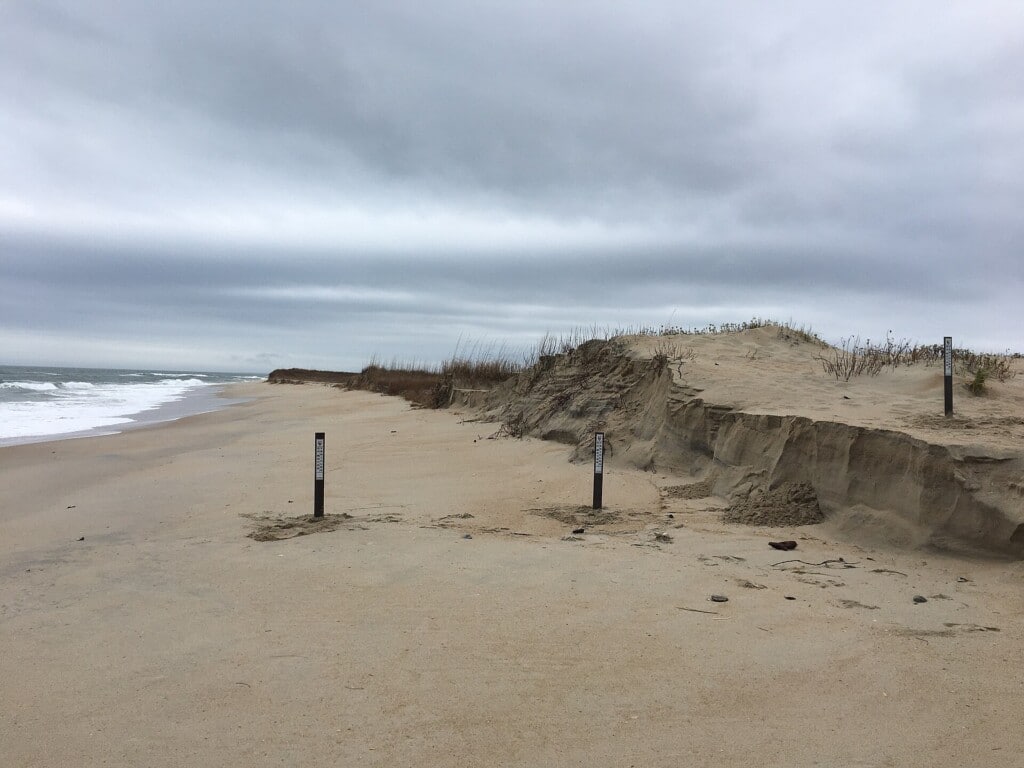 Cape Point in winter, looking west toward South Beach at mid-tide under a gray sky
