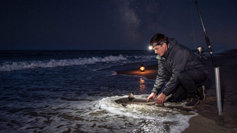 A young man in the shallows at night releasing a small blacktip shark by the tail, headlamp on — Outer Banks, NC